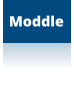Moddle